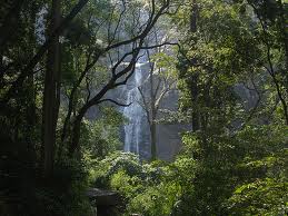 Palaruvi Waterfalls Palaruvi Waterfalls