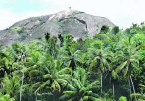 Jadayupaara