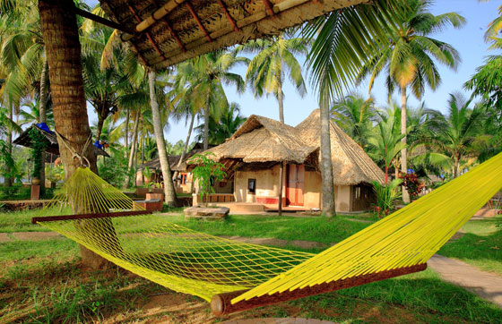 Kerala Honeymoon Packages From Pondicherry