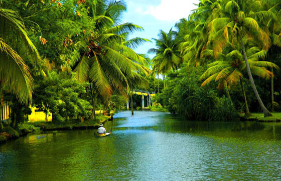 Kerala honeymoon packages from Indore