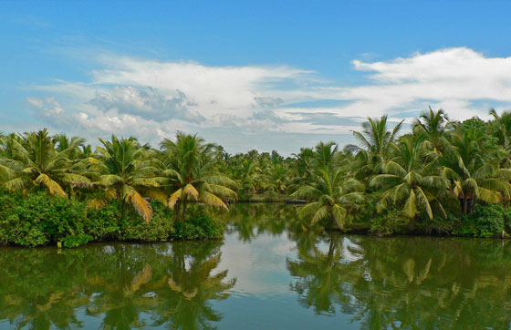 Kerala honeymoon spots