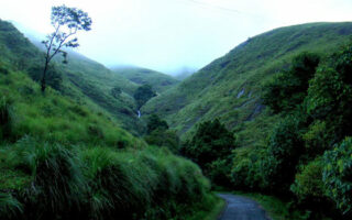 Gavi Honeymoon packages