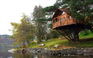 Honeymoon on tree house