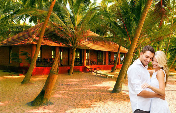 Honeymoon tour packages in Kerala