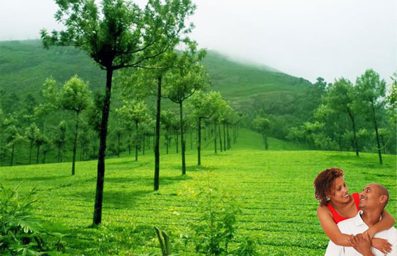 Green Kerala honeymoon tour package